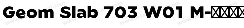 Geom Slab 703 W01 M字体转换